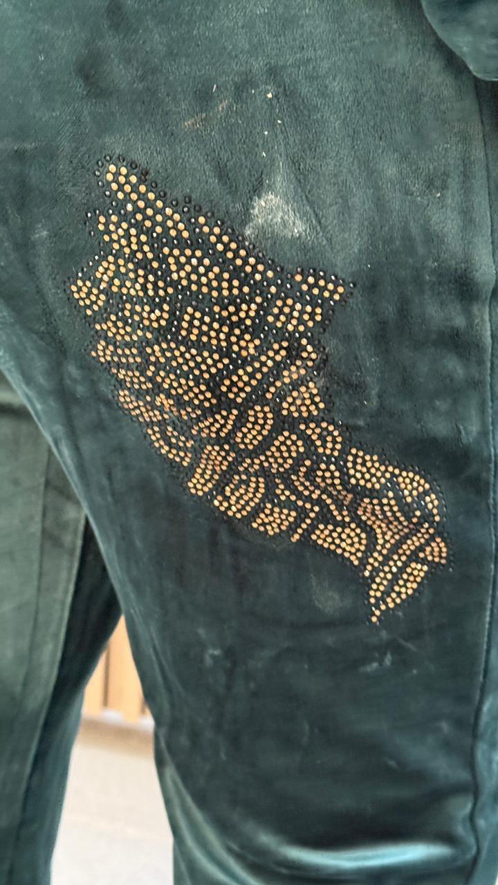 Velore Velvet Tracksuit- Green, Maroon, Black, Grey, Pink