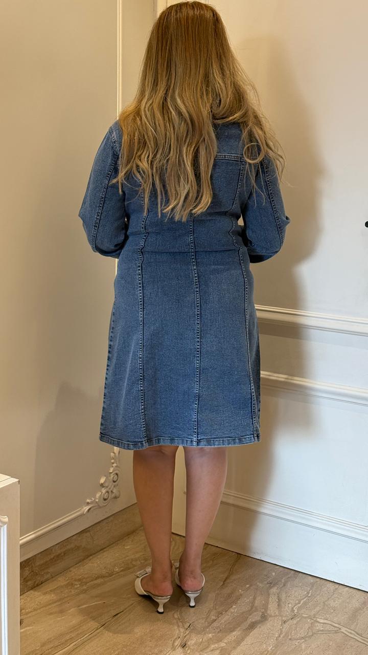 Renvia Stretch Denim Dress