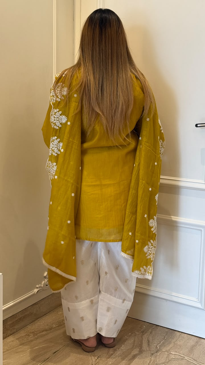Shaira Farshi Salwar Suit Set- Blue, Yellow, Green, Lavender